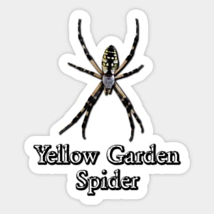 Yellow Garden Spider Sticker